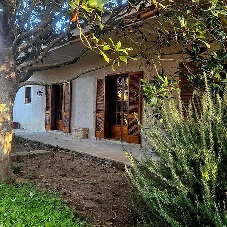 Casa de hóspedes La Pineta 3*