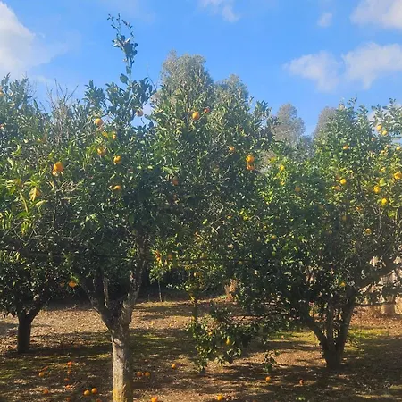 La Pineta Pensión 3*