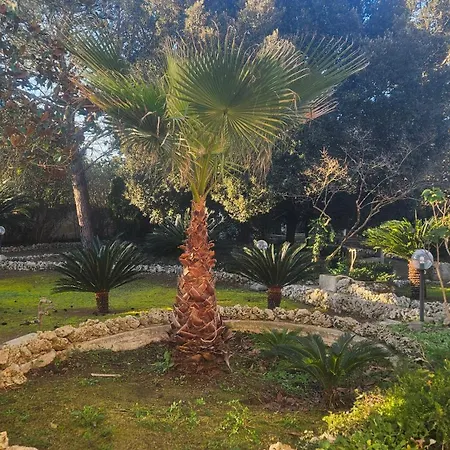 Casa de hóspedes La Pineta