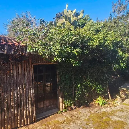 La Pineta Casa de hóspedes Lecce