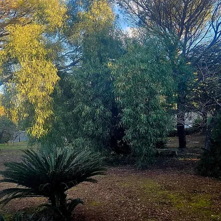 La Pineta 3* Lecce