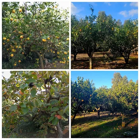 La Pineta Pensión 3*