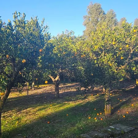 La Pineta 3* Lecce