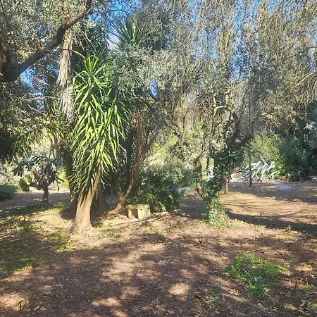La Pineta 3*