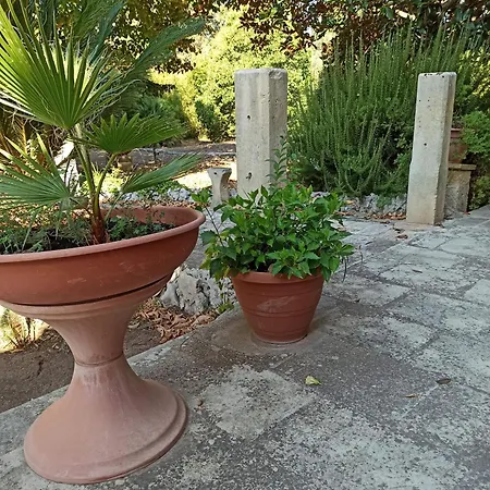 Pensión La Pineta 3*