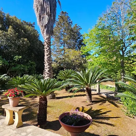 La Pineta Pensión