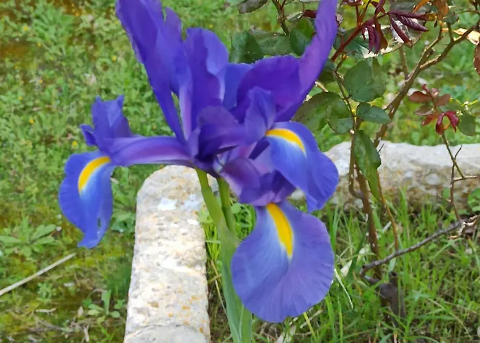 Pensionat La Pineta 3*