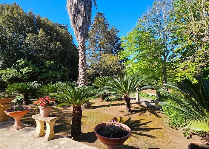 La Pineta Affittacamere