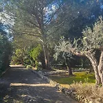 La Pineta 레체