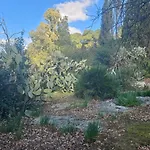 La Pineta 3*