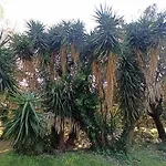 게스트하우스 La Pineta 레체