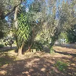 La Pineta 3*
