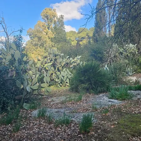 La Pineta 3*