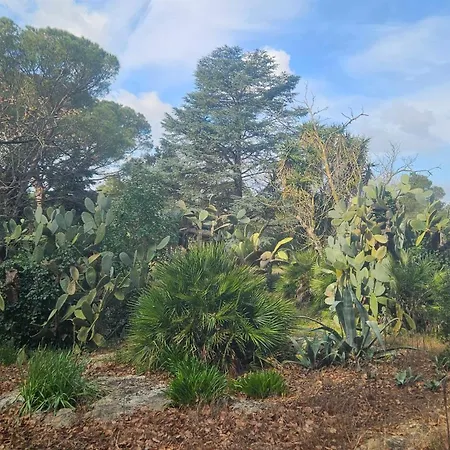 La Pineta Vendégház Lecce