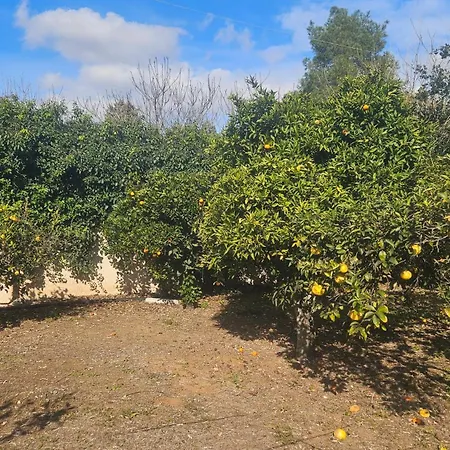 La Pineta Vendégház