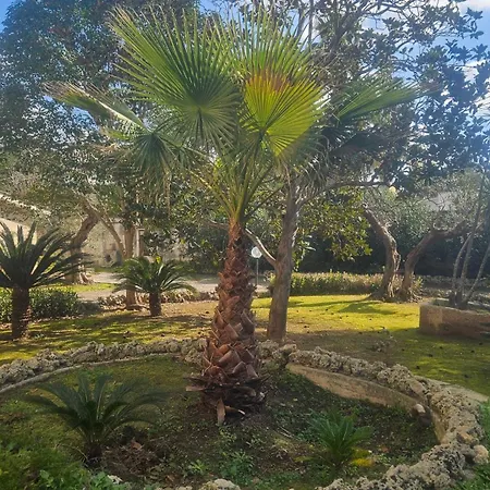 Vendégház La Pineta