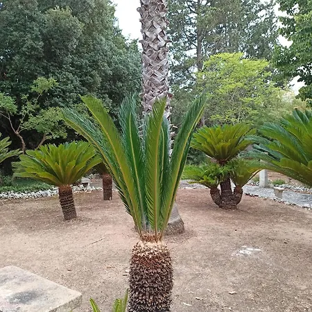 La Pineta Gæstehus 3*