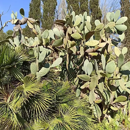 La Pineta 3* Lecce