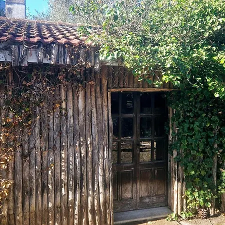 Vendégház La Pineta