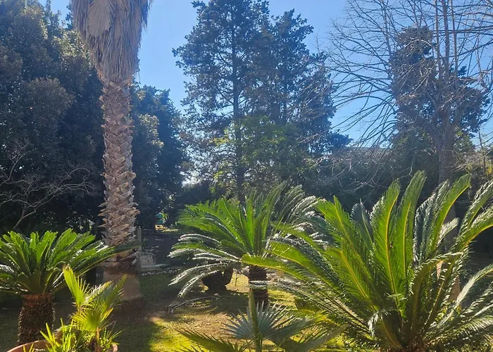 La Pineta 3* לצ'ה