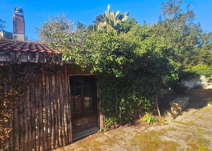 La Pineta בית הארחה לצ'ה