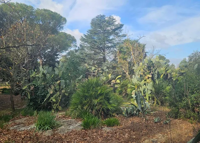 La Pineta בית הארחה לצ'ה