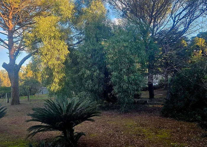 La Pineta 3* לצ'ה