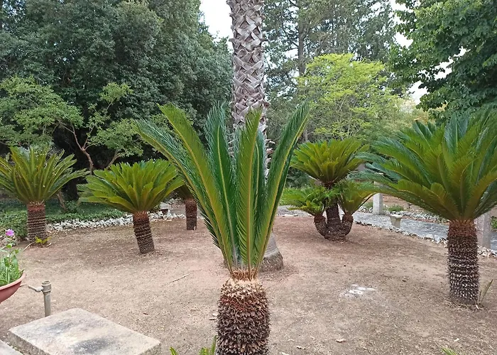 La Pineta בית הארחה 3*